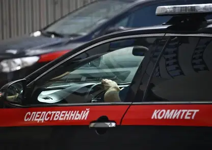Директор техникума в Усолье-Сибирском стал фигурантам уголовного дела из-за взятки в 15 тыс. рублей