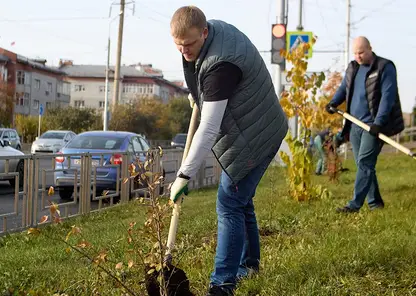 «Красноярская рециклинговая компания» высадила 88 яблонь на пустыре на улице Гусарова