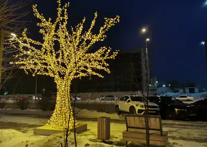 В Красноярске в этом году установят 35 световых деревьев