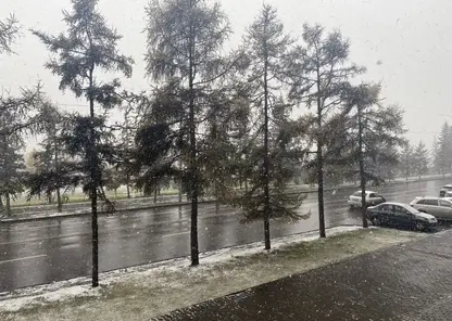 Мокрый снег и +5 градусов ожидаются в Красноярске 17 ноября