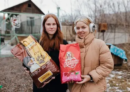 Красноярцы собрали 350 кг корма для собачьих приютов