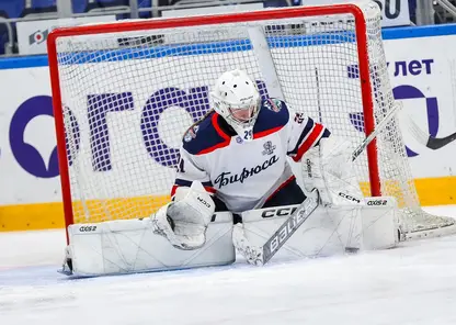 Хоккейная команда «Бирюса» во втором полуфинальном матче женской лиги нанесла поражение нижегородскому Торпедо