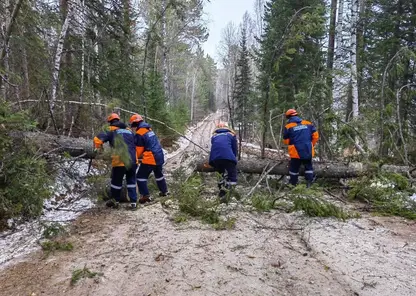 В Красноярском крае спасатели убирают с дорог упавшие деревья