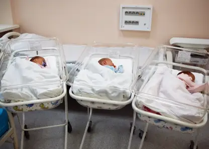 В Красноярском крае вырос размер единовременной выплаты за рождение двойняшек и тройняшек