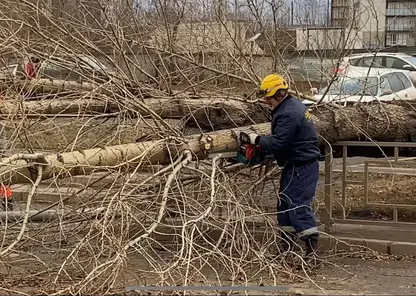 В Октябрьском районе оперативно убирают поваленные ветром деревья и ветки, затрудняющие проезд