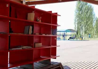 В Красноярске в Татышев-парке появится библиотека тысячи историй