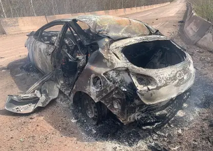 Машина загорелась в поселке Дивный Новоселовского района Красноярского края. Пожар распространился на лес