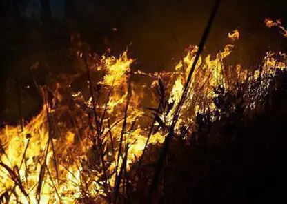 Житель Богучанского района хотел подогреть еду на берегу реки и устроил пожар