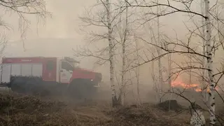 Жителей Красноярского края предупреждают о сильном ветре
