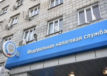 Число самозанятых в Красноярском крае увеличилось в полтора раза
