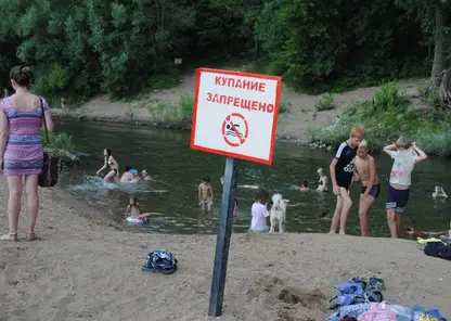 "Тут пляжа нет": Красноярцам рассказали, где нельзя купаться этим летом