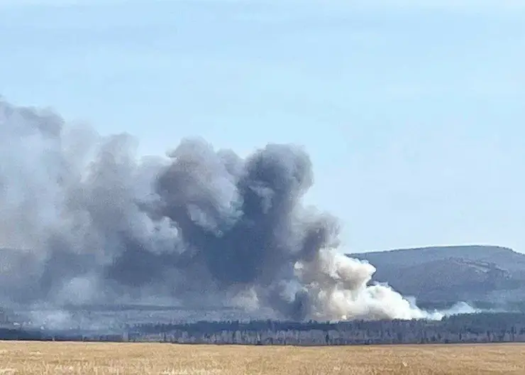 Пять садовых обществ загорелись под Братском в Иркутской области