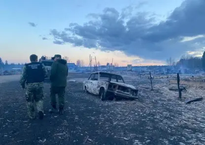 В Красноярском крае число погибших в результате массовых пожаров выросло до восьми человек