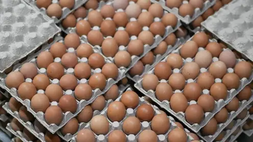 В магазинах Красноярска снизились цены на куриные яйца