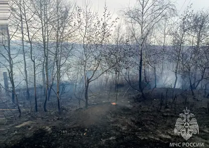 30 зданий сгорели в Братске Икрутской области из-за обрыва и перехлеста проводов