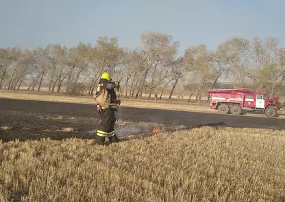 В Красноярском крае горел лес в районе озера Большое