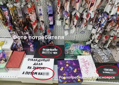Роспотребнадзор объявил предостережение красноярскому аниме-магазину за продажу товаров с нецензурной лексикой