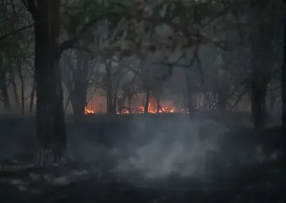 Первый пик пожароопасного сезона прогнозируют в лесах Сибири на конец апреля