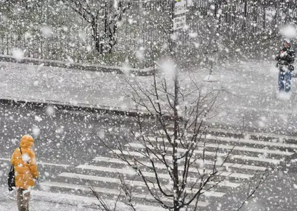 Снег и 0 градусов обещают синоптики в Красноярске 2 декабря