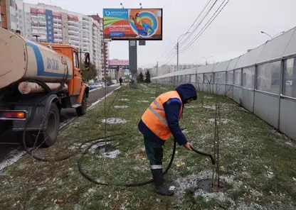 Красноярские озеленители помогают деревьям в городе создать запас влаги на зиму