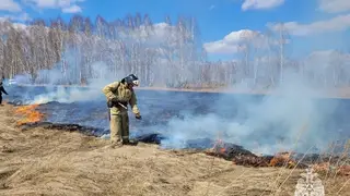 В Красноярске ввели противопожарный режим