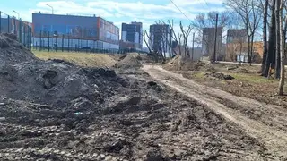 В Красноярске начали благоустраивать скверы и набережные