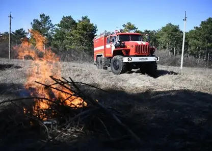 Почти 6 тысяч человек планируется привлечь к тушению природных пожаров в 2024 году в Якутии