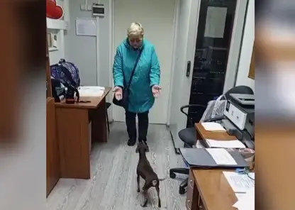 В Канске дежурная по вокзалу помогла хозяйке воссоединиться с любимой собакой
