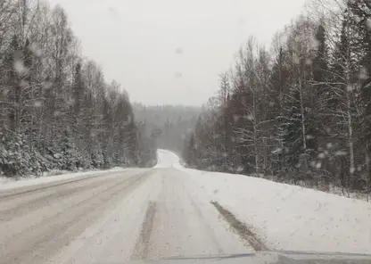 В ГИБДД Красноярского края предупреждают о снегопаде на загородных трассах