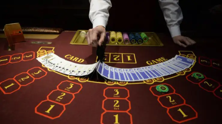 В Красноярском крае шесть мужчин сделали казино в тепличном комплексе и заработали более 11 млн 