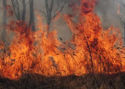 В Красноярске загорелась Лысая гора