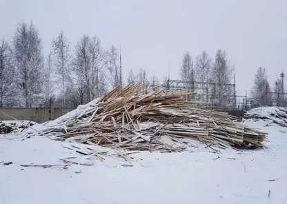 Контрабанду древесины почти на 5 миллионов рублей выявили в Красноярском крае